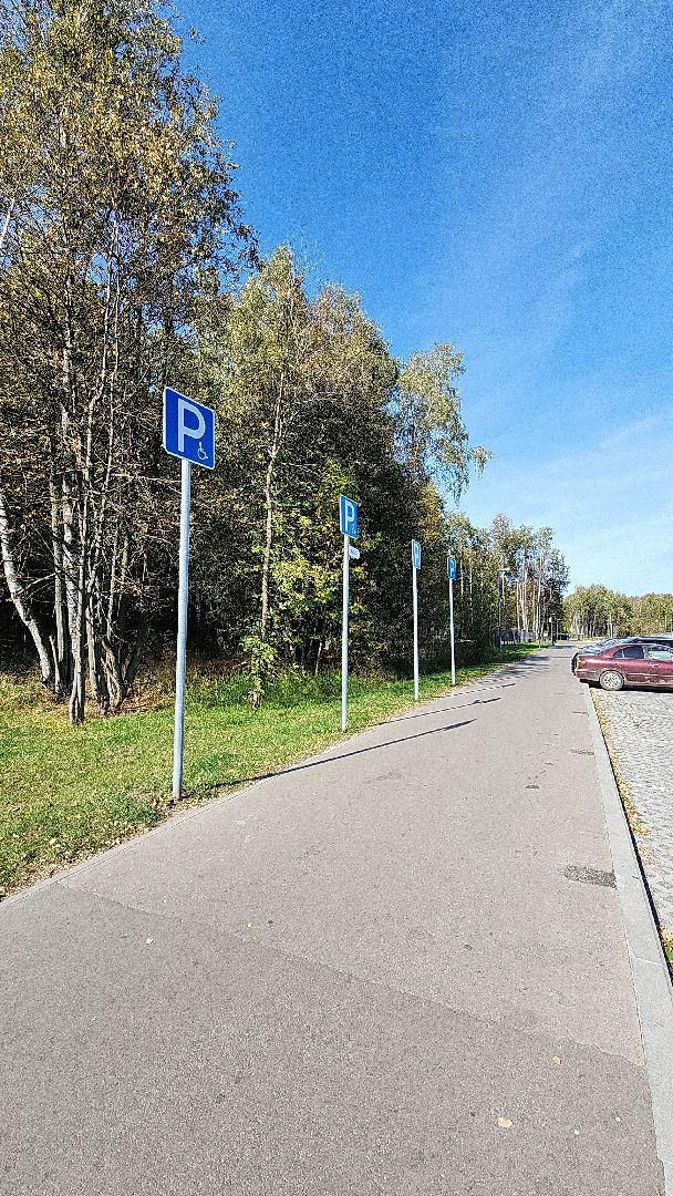 парк, парк авангард, электросталь, культура, культура и туризм в подмосковье, летний сезон, осеньвпарке, благоустройство, благоустройство 2024,