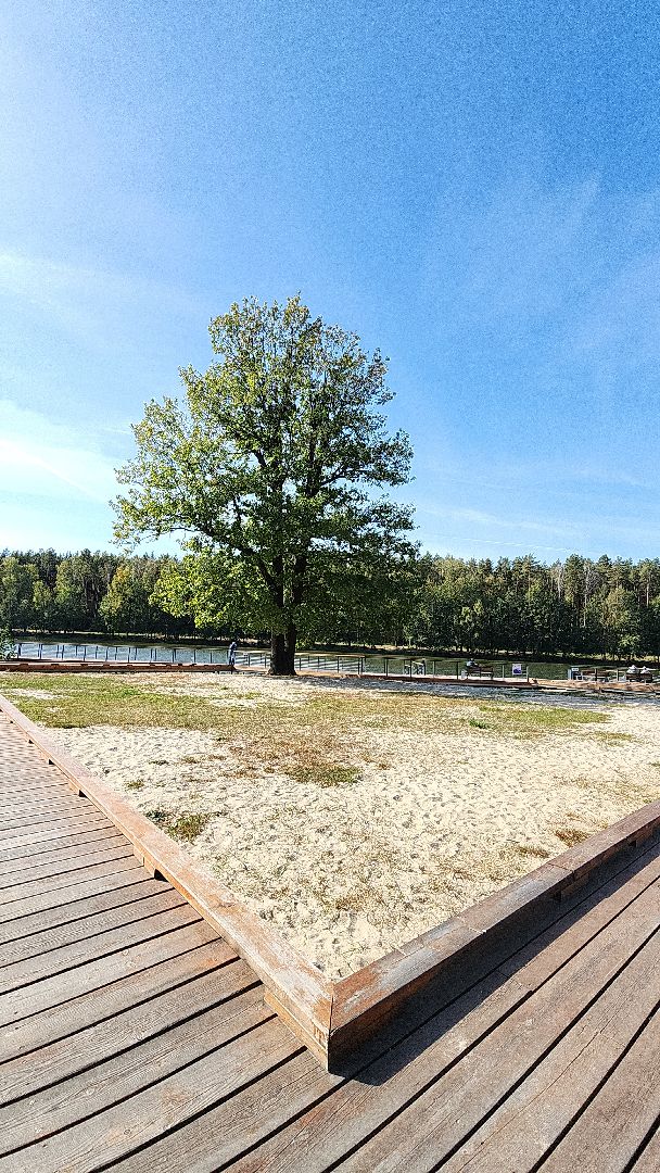 парк, парк авангард, электросталь, культура, культура и туризм в подмосковье, летний сезон, осеньвпарке, благоустройство, благоустройство 2024,