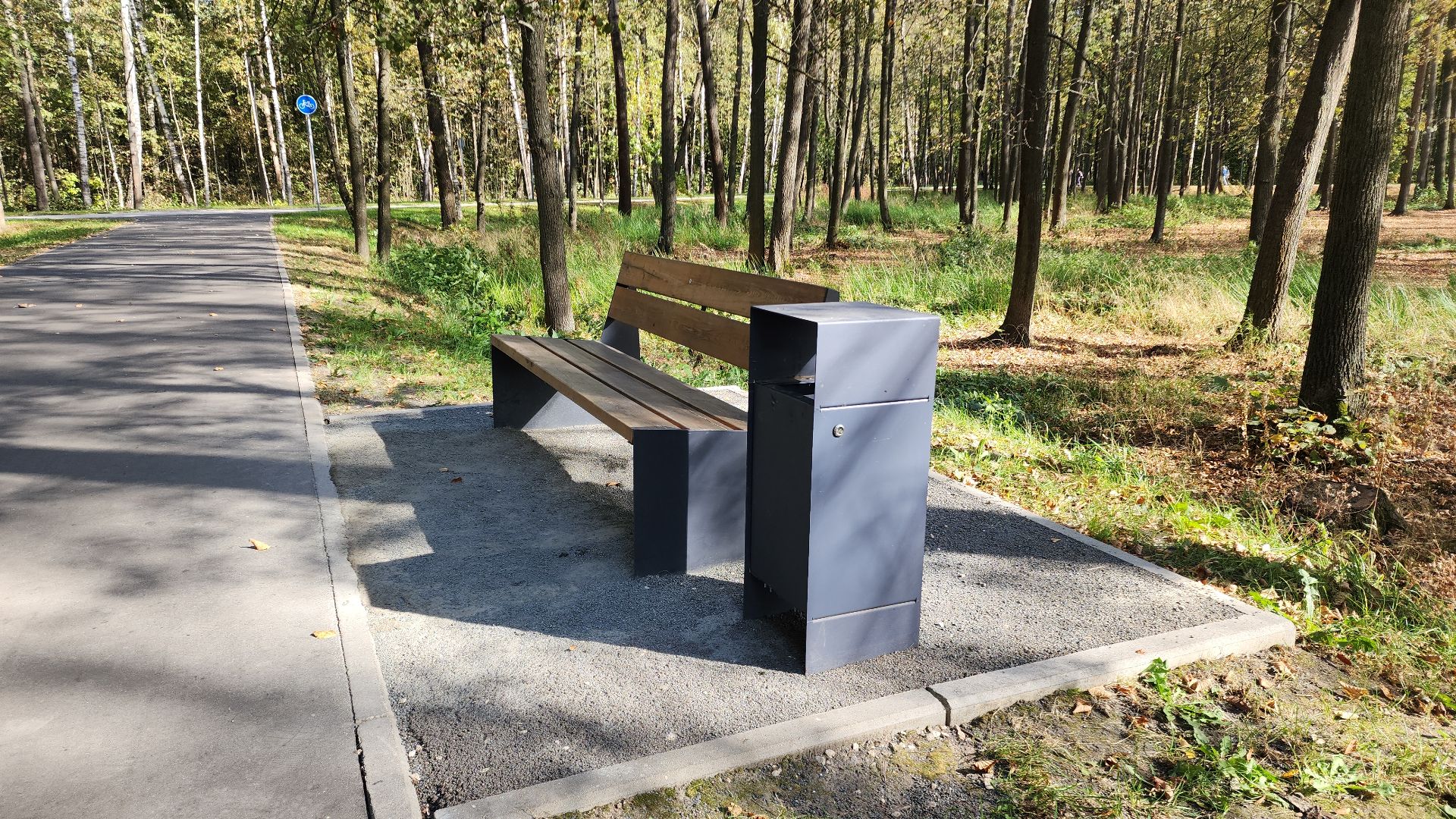 парк, парк авангард, электросталь, культура, культура и туризм в подмосковье, летний сезон, осеньвпарке, благоустройство, благоустройство 2024,