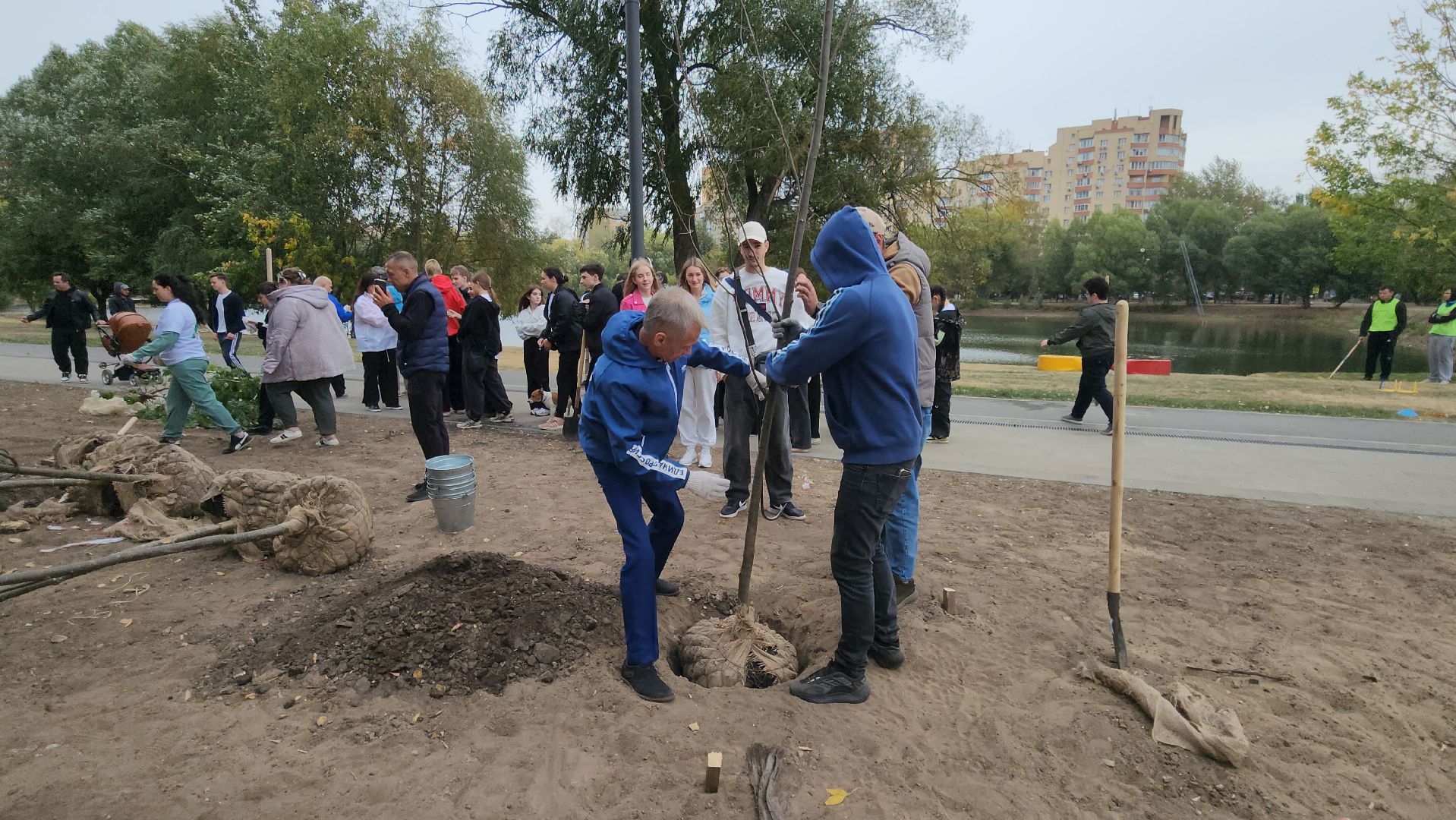 Люберцы, благоустройство, Наташинский парк,