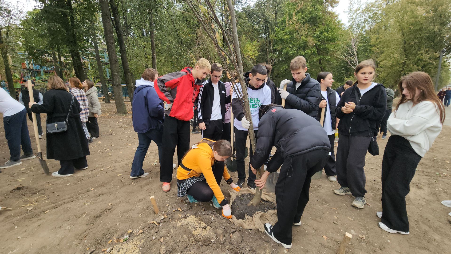 Люберцы, благоустройство, Наташинский парк,