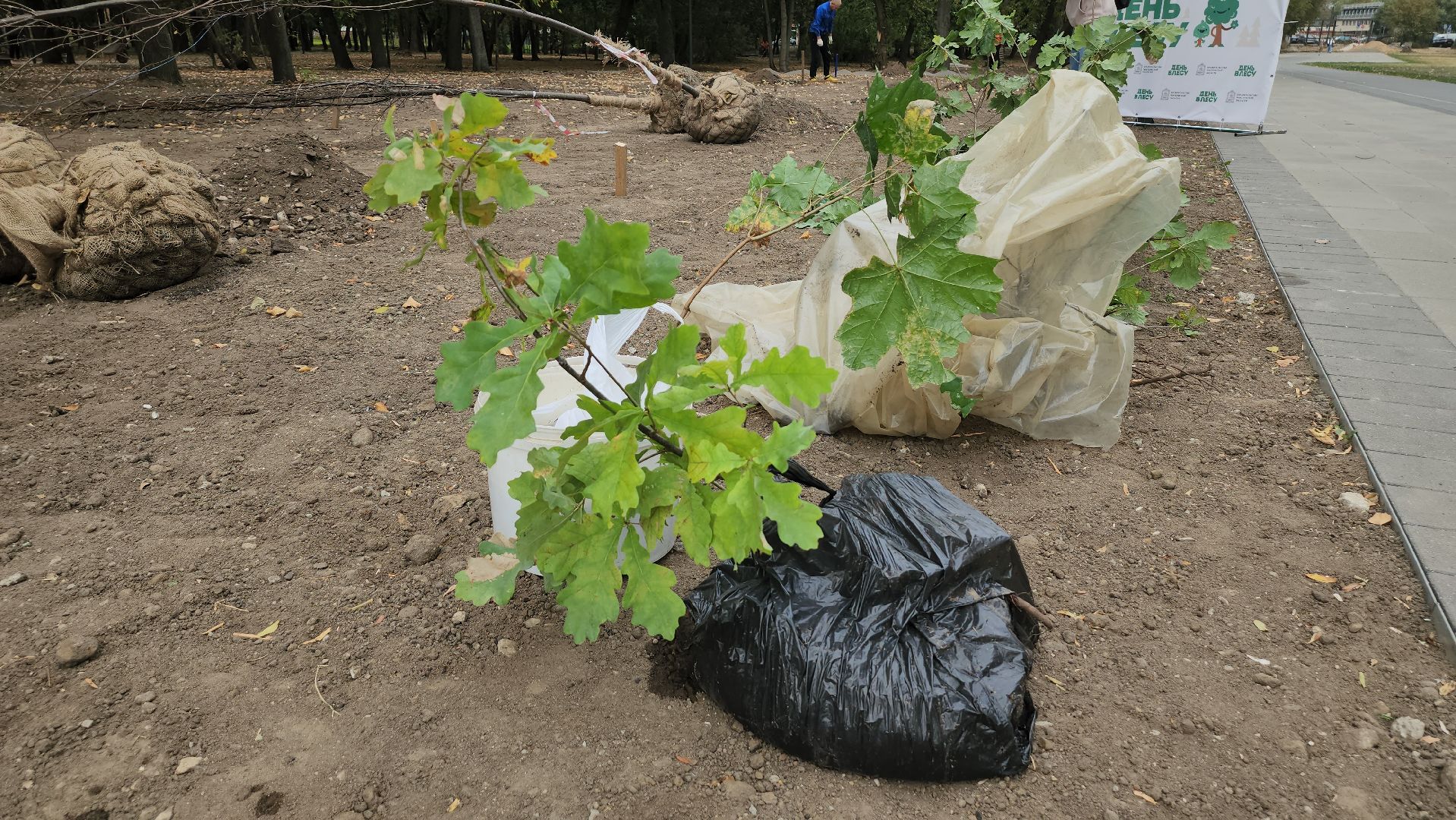 Люберцы, благоустройство, Наташинский парк,
