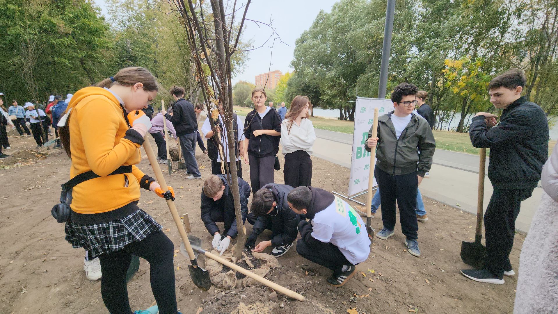Люберцы, благоустройство, Наташинский парк,