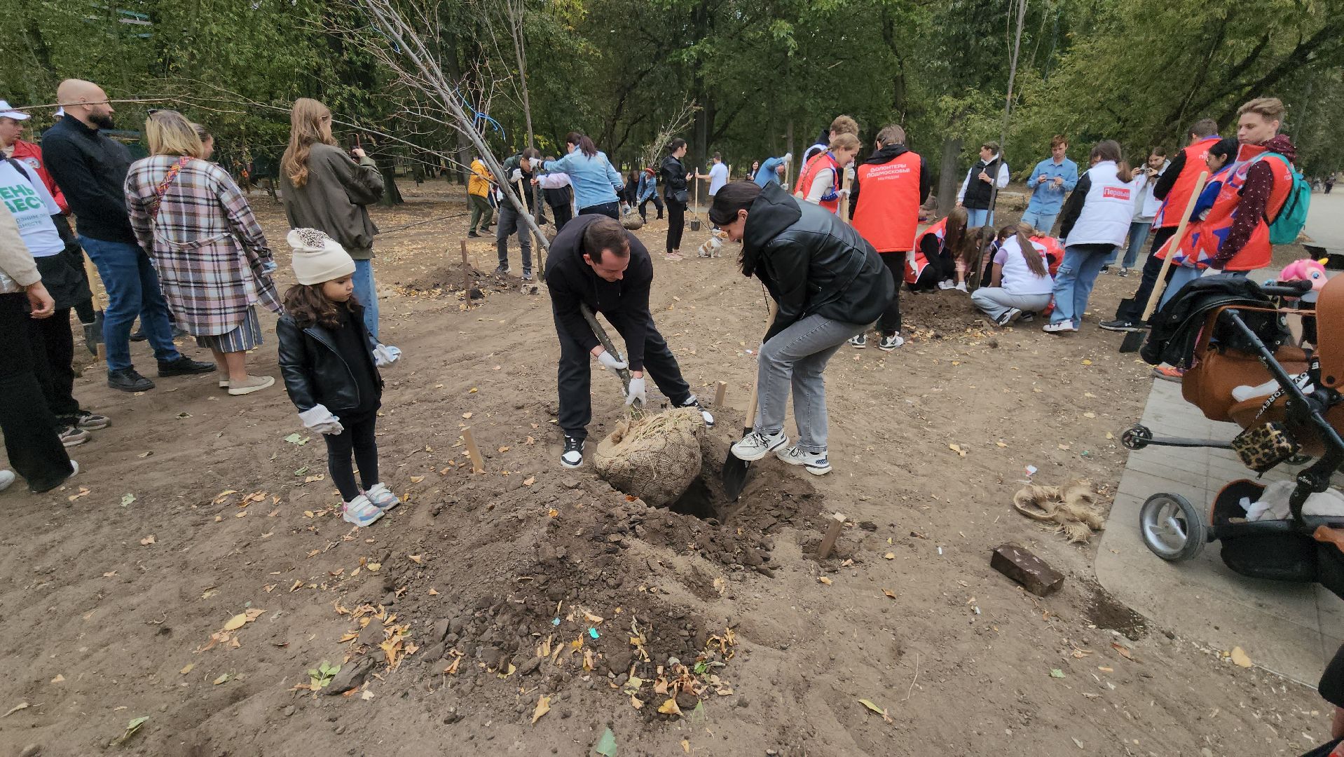 Люберцы, благоустройство, Наташинский парк,