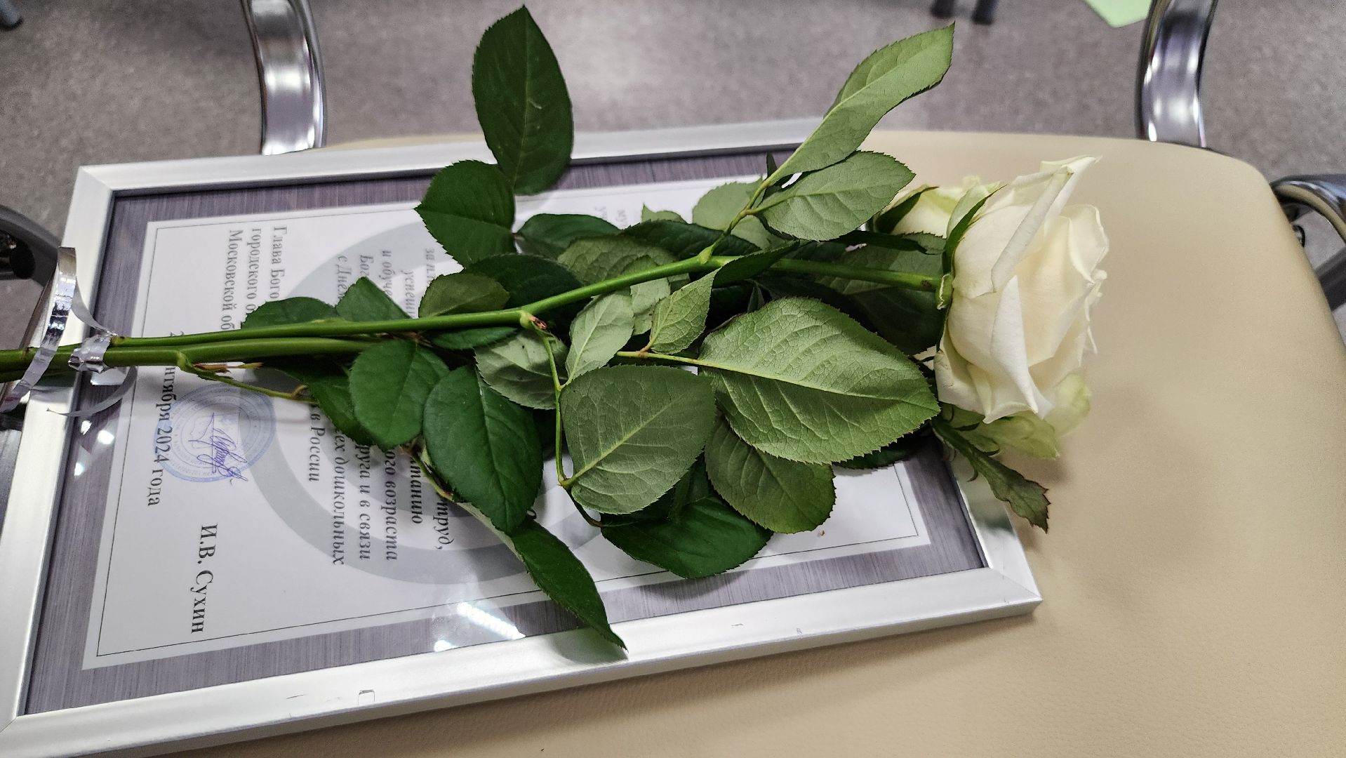 День воспитателя, образование, дошкольное образование, Ногинск, Богородский городской округ,