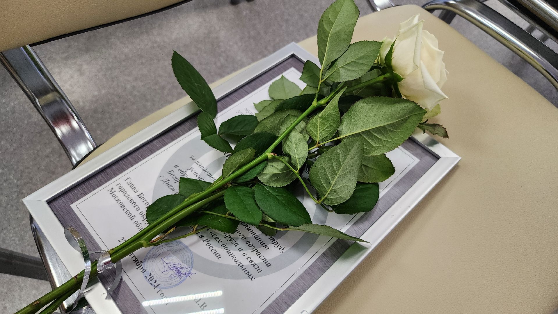 День воспитателя, образование, дошкольное образование, Ногинск, Богородский городской округ,