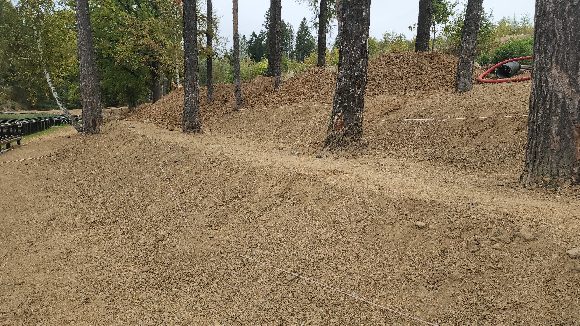 красногорск, плотина, пляж,синичка,