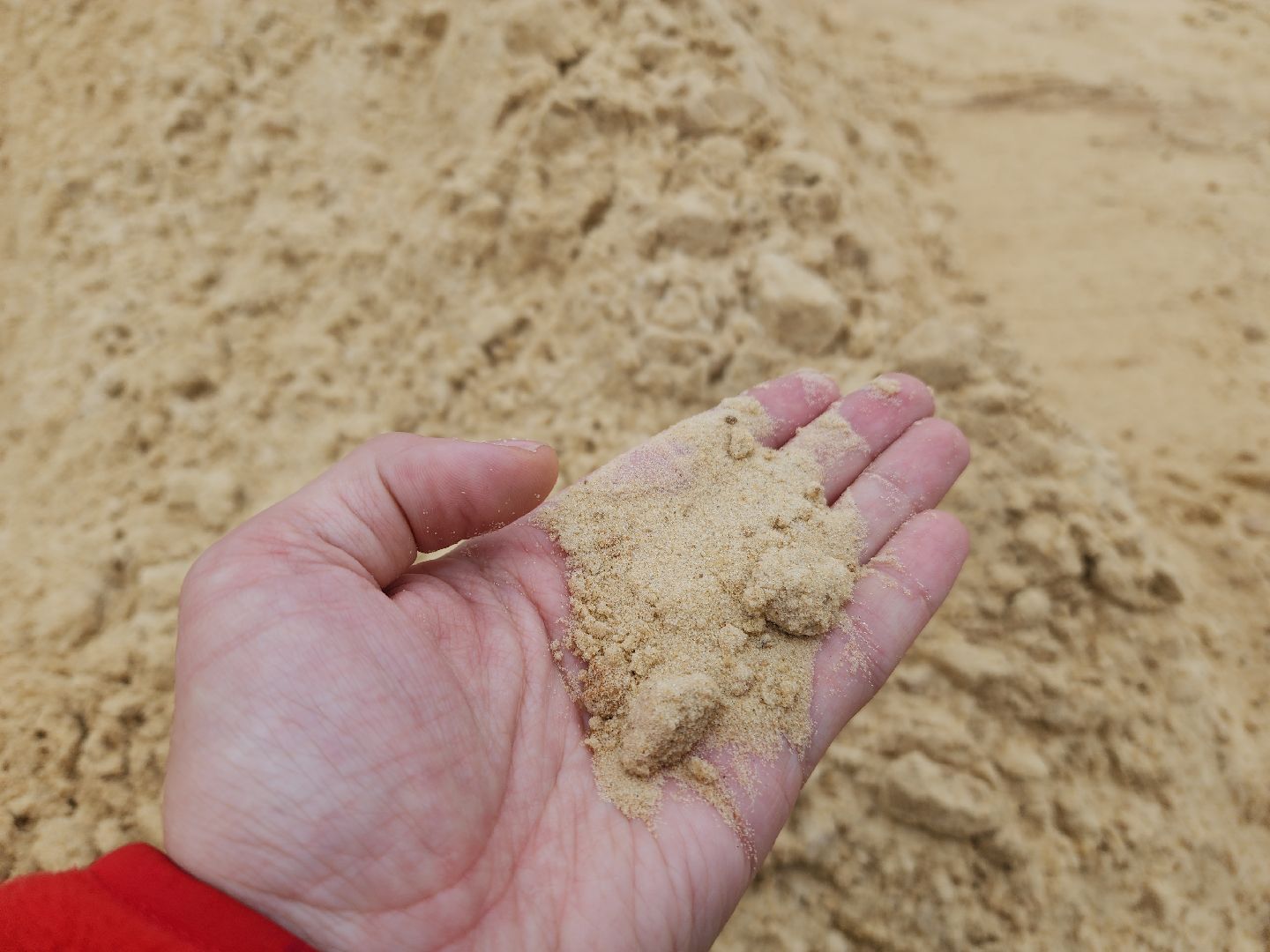 красногорск, плотина, пляж,синичка,