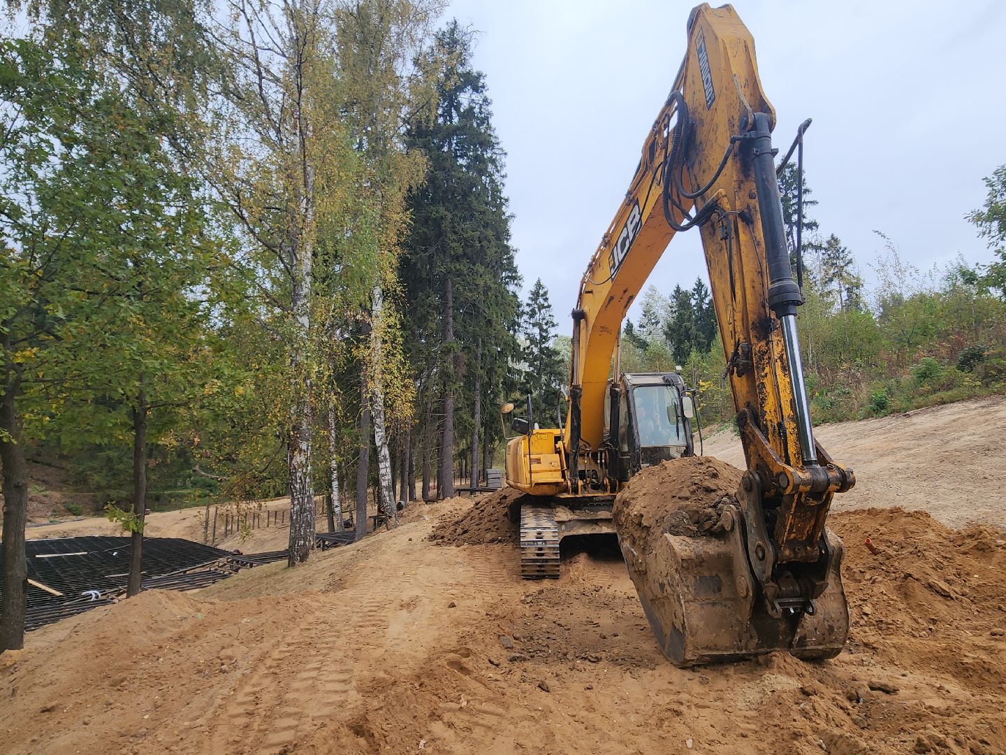 красногорск, плотина, пляж,синичка,