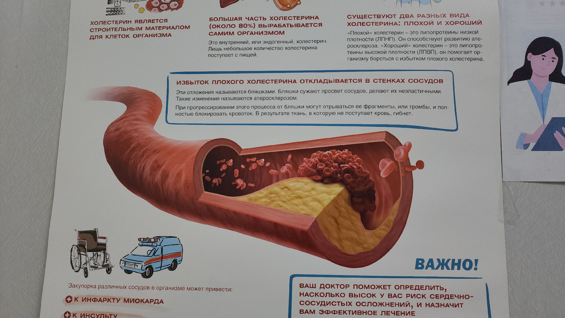 кардиолог, Лобня, профилактика, Сердце,