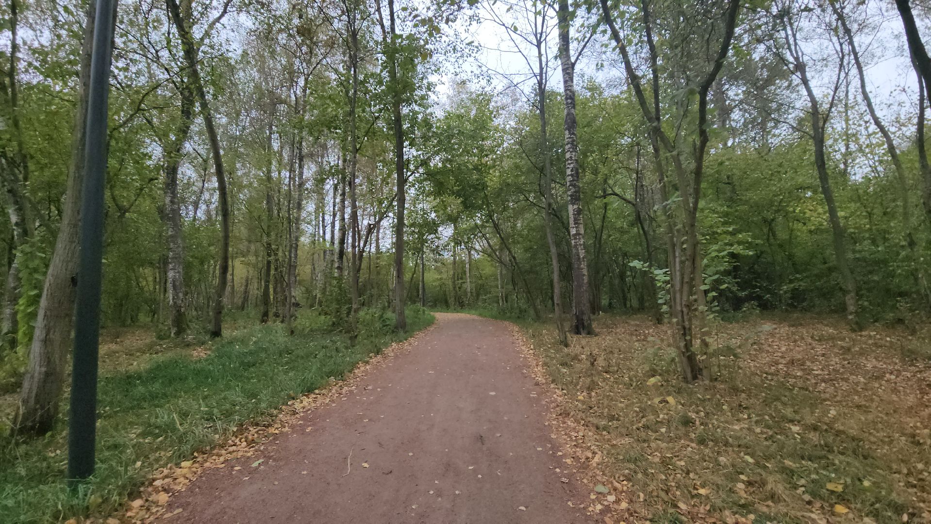 одинцово, парк малевича, благоустройство,