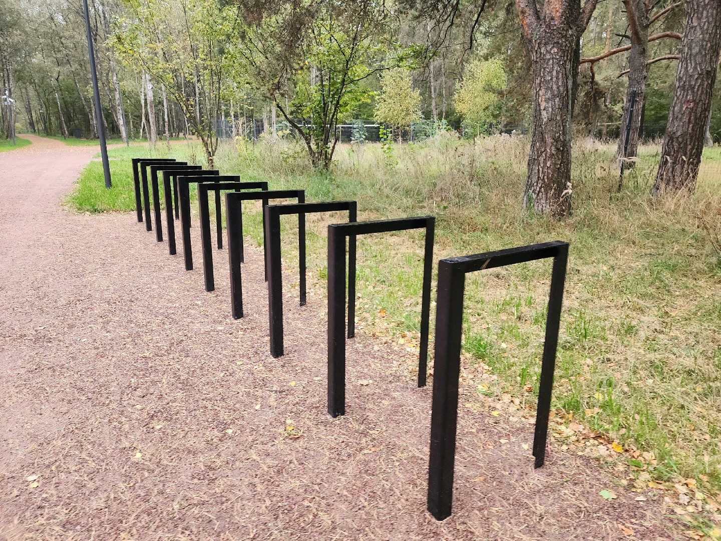 одинцово, парк малевича, благоустройство,