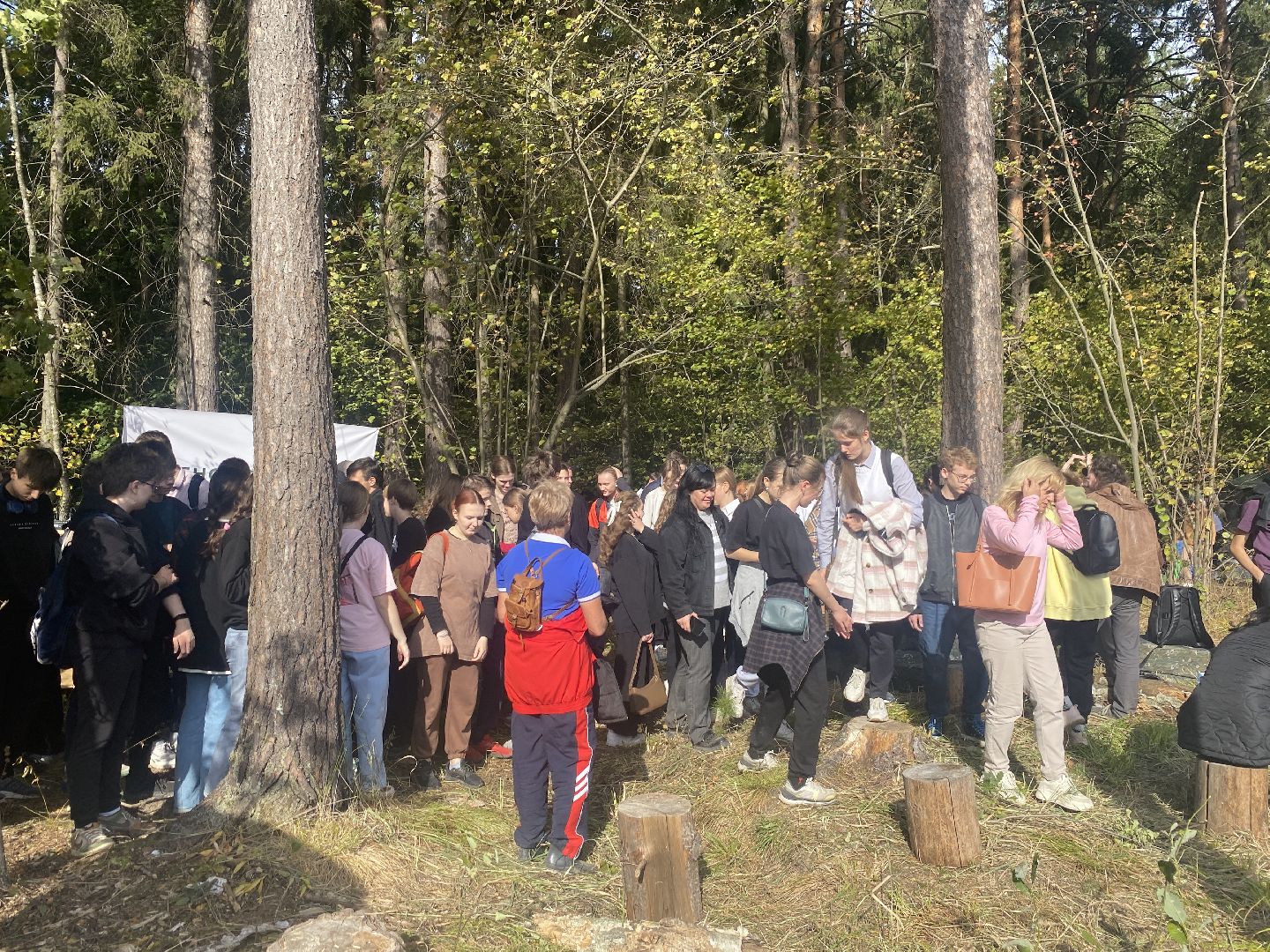 компенсационная посадка деревьев, Пионерское лесничество, Зеленое единство России, Россия - мои горизонты, высадка деревьев Власиха,