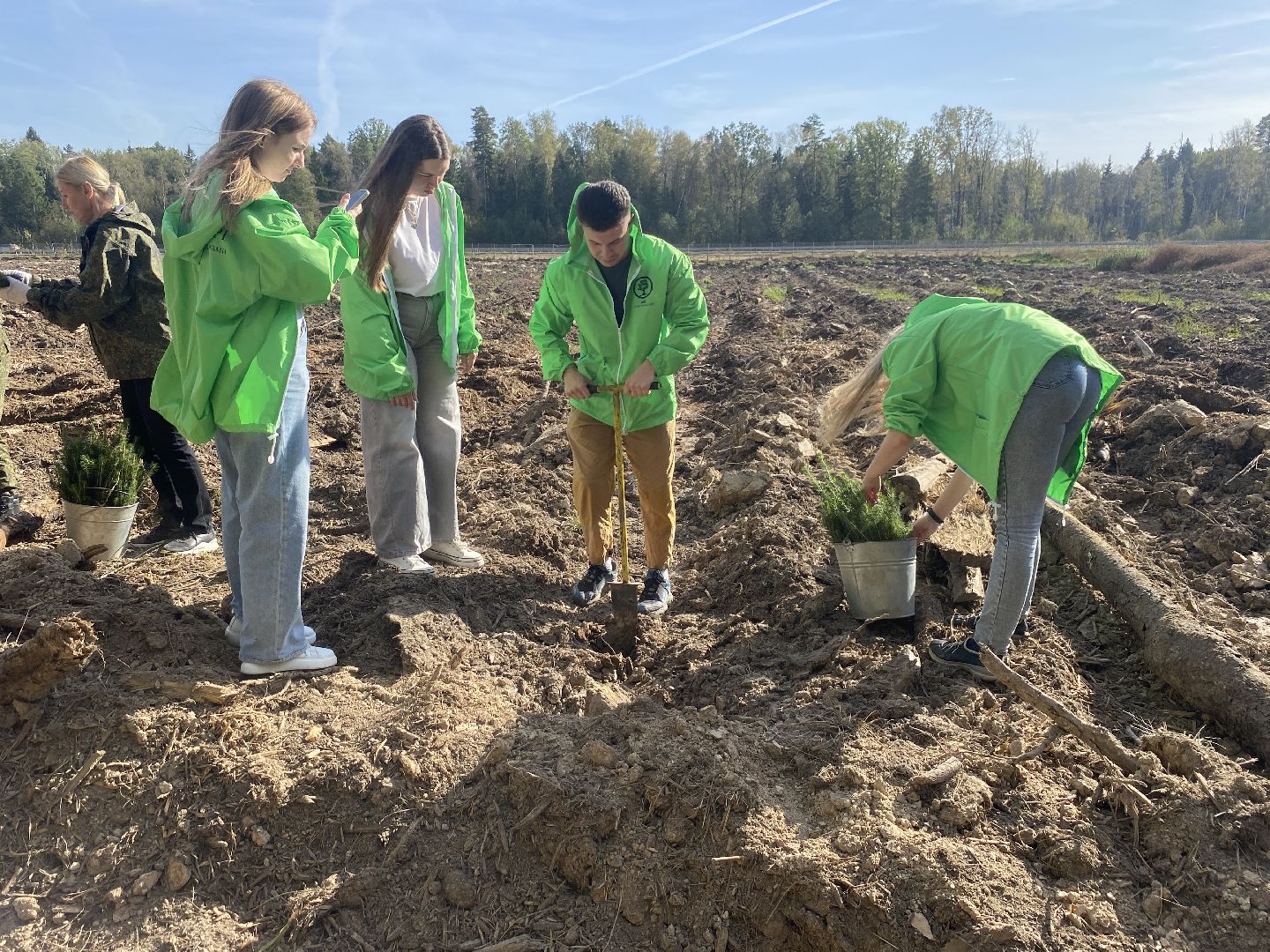 компенсационная посадка деревьев, Пионерское лесничество, Зеленое единство России, Россия - мои горизонты, высадка деревьев Власиха,