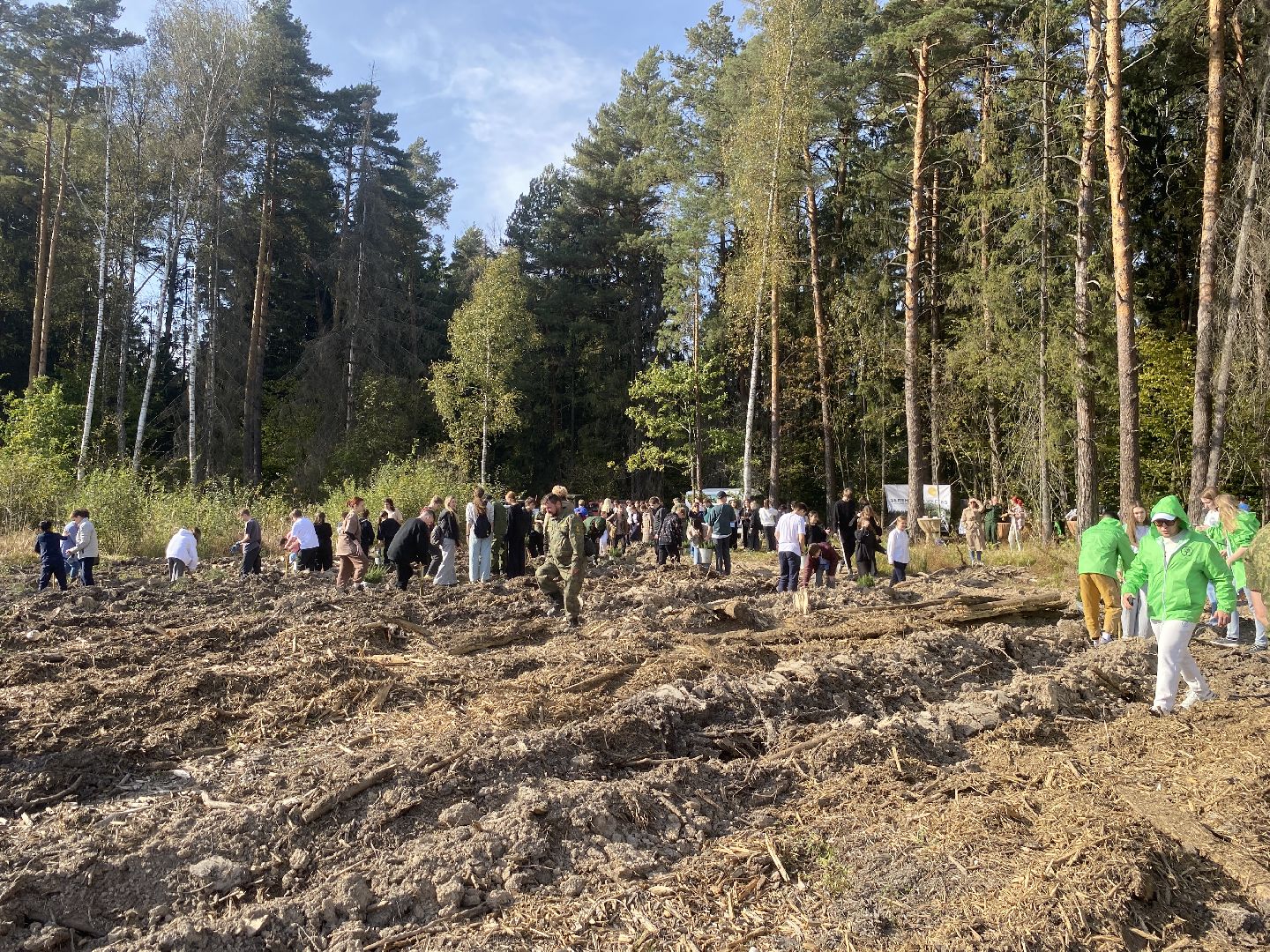 компенсационная посадка деревьев, Пионерское лесничество, Зеленое единство России, Россия - мои горизонты, высадка деревьев Власиха,