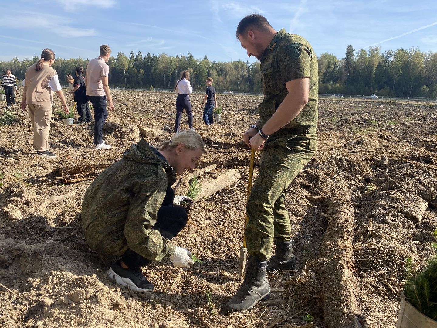 компенсационная посадка деревьев, Пионерское лесничество, Зеленое единство России, Россия - мои горизонты, высадка деревьев Власиха,