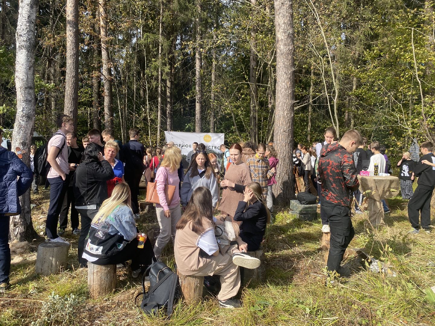 компенсационная посадка деревьев, Пионерское лесничество, Зеленое единство России, Россия - мои горизонты, высадка деревьев Власиха,