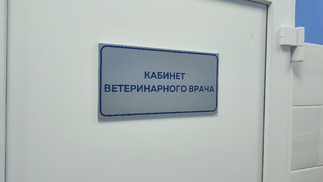 Кашира, общество