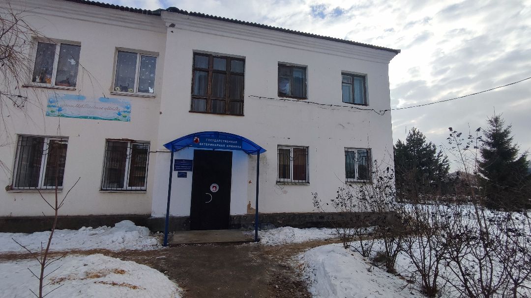 Кашира, общество