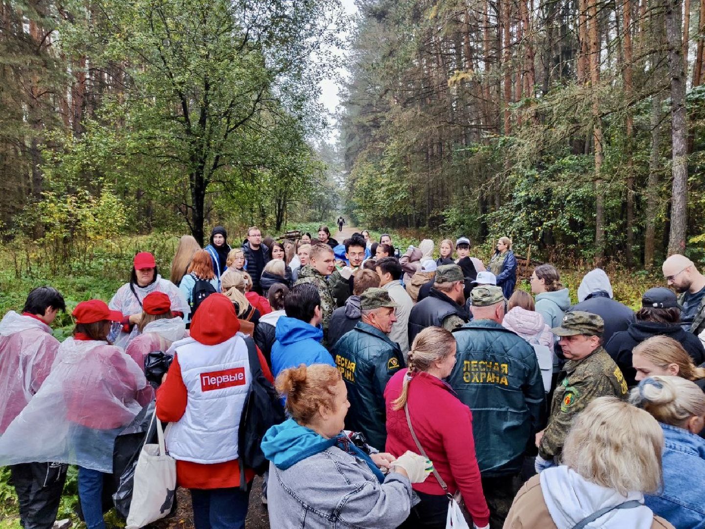 наро-фоминский городской округ, экологическая акция, чистый лес, лесопарк елочки,