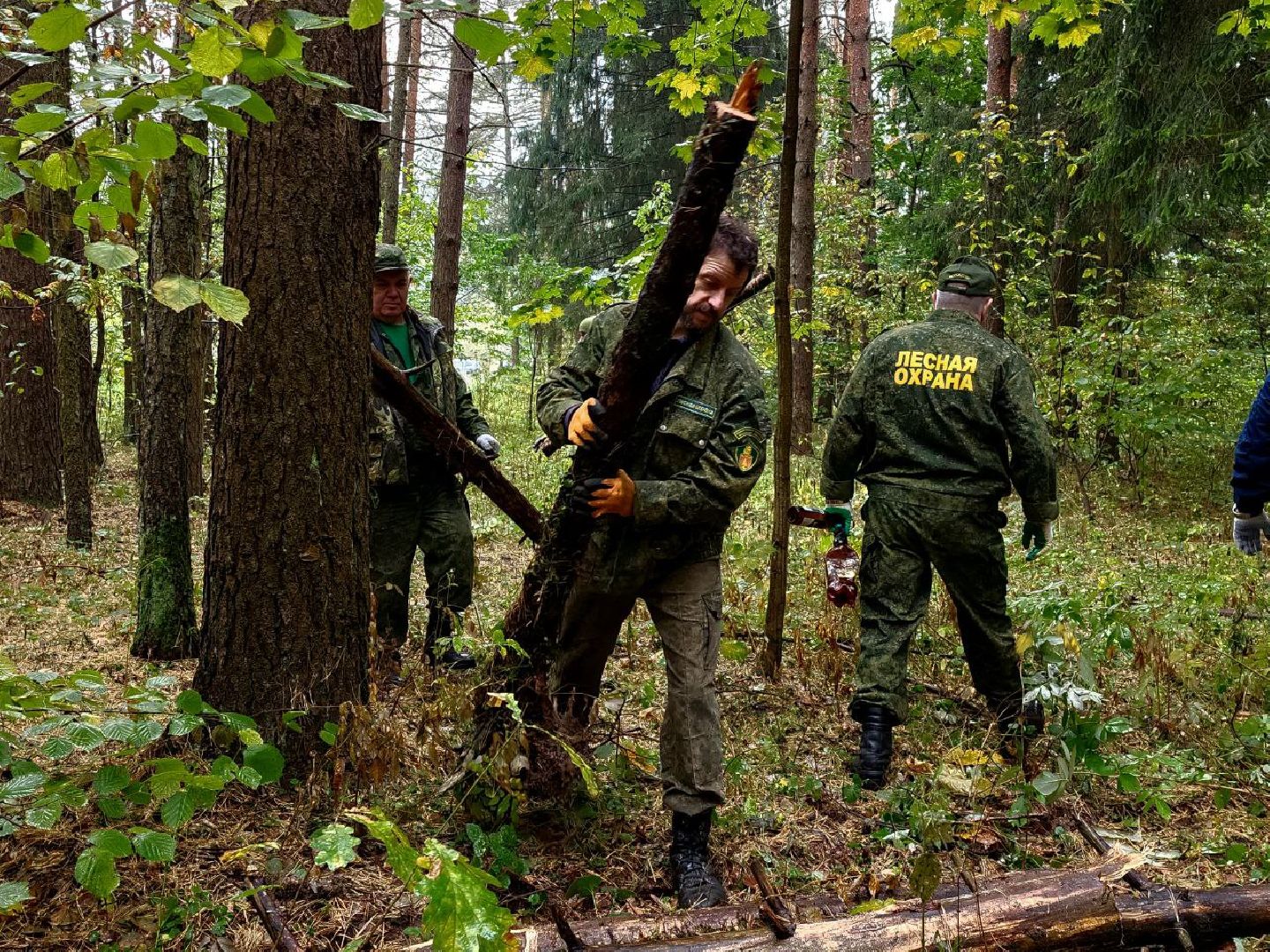 наро-фоминский городской округ, экологическая акция, чистый лес, лесопарк елочки,