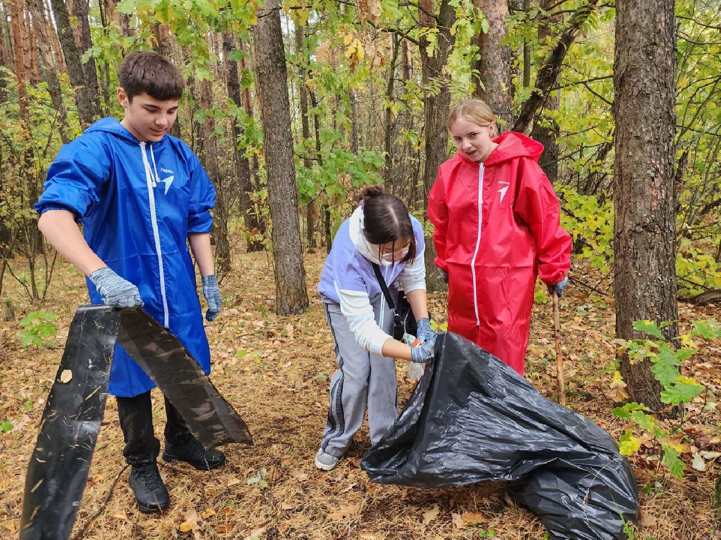 наро-фоминский городской округ, экологическая акция, чистый лес, лесопарк елочки,