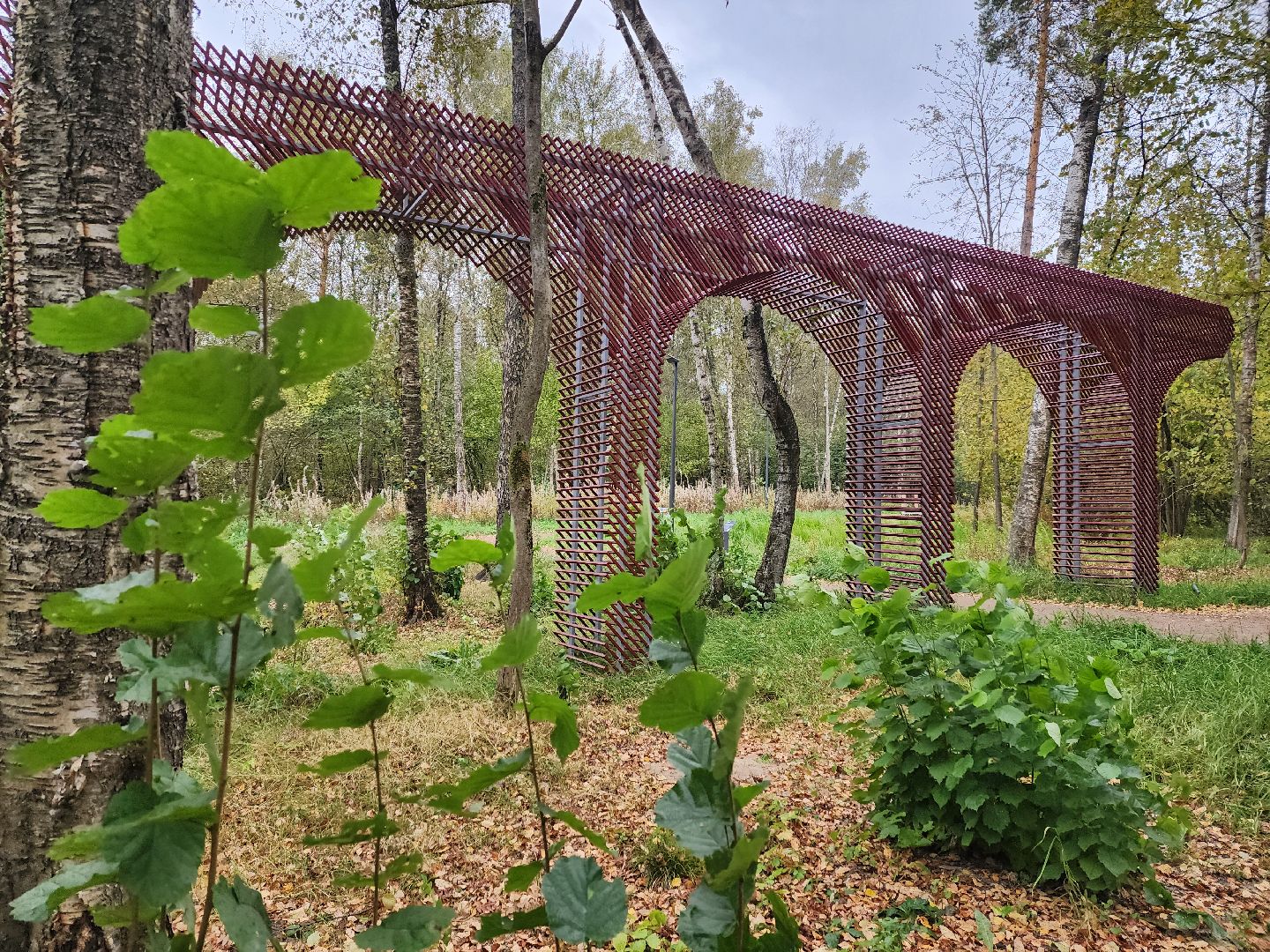 одинцово, благоустройство, искусство, парк малевича, мишмаш,