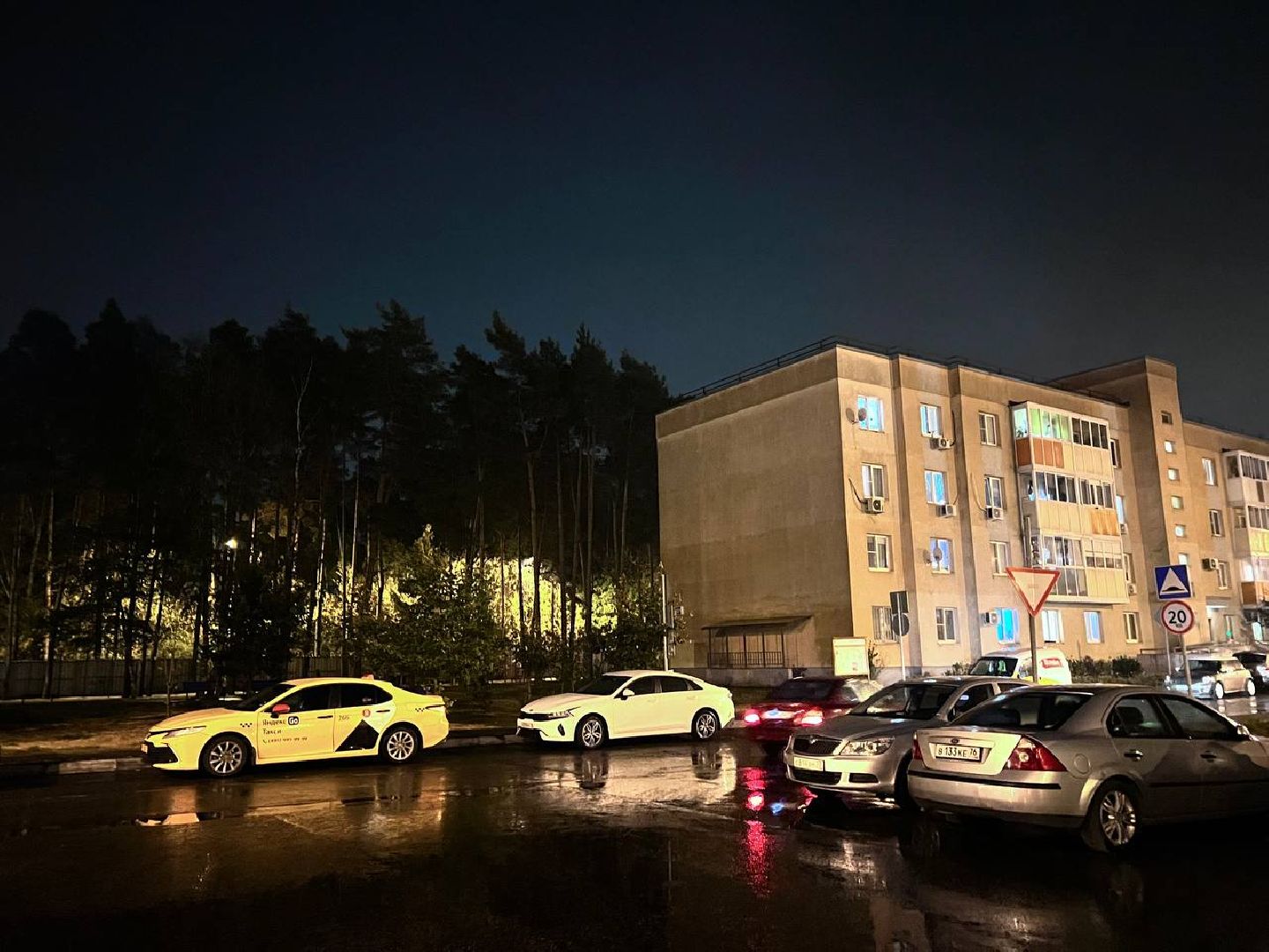 пожар в балашихе, лесной пожар, мчс, комлесхоз,