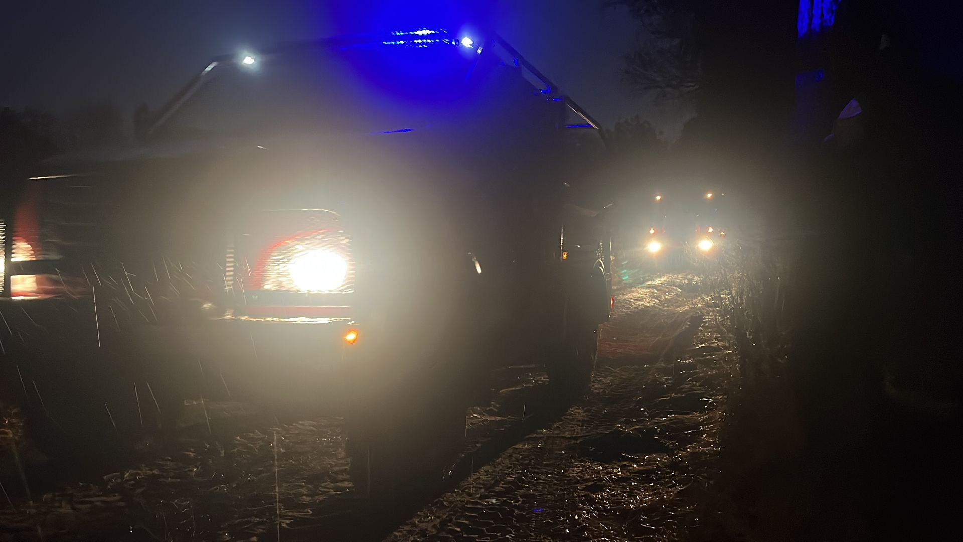 пожар в балашихе, лесной пожар, мчс, комлесхоз,