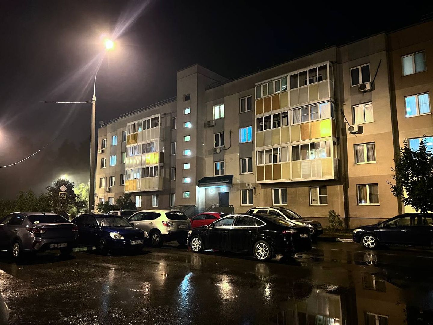 пожар в балашихе, лесной пожар, мчс, комлесхоз,