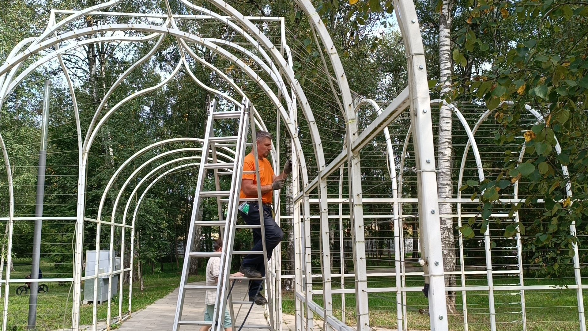 парк, лобня, храм, подсветка,