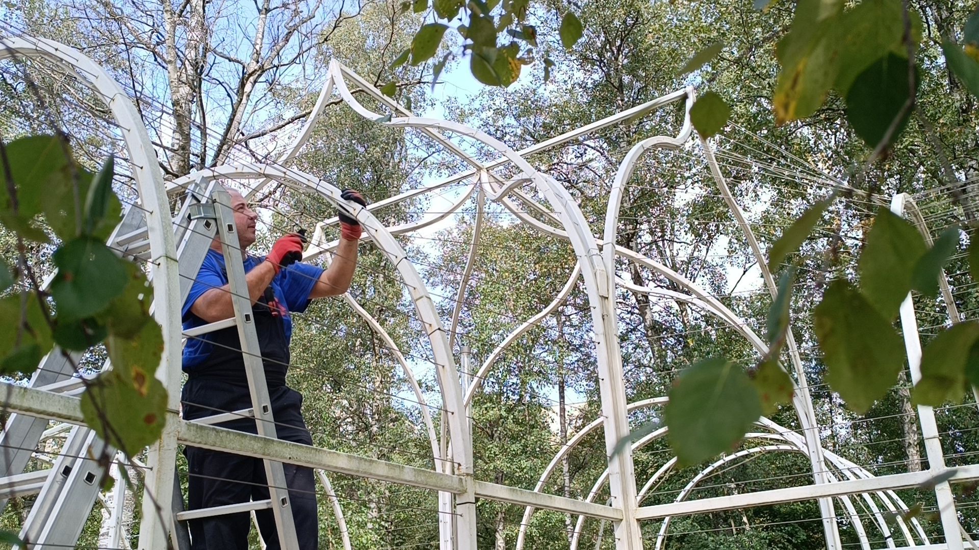 парк, лобня, храм, подсветка,