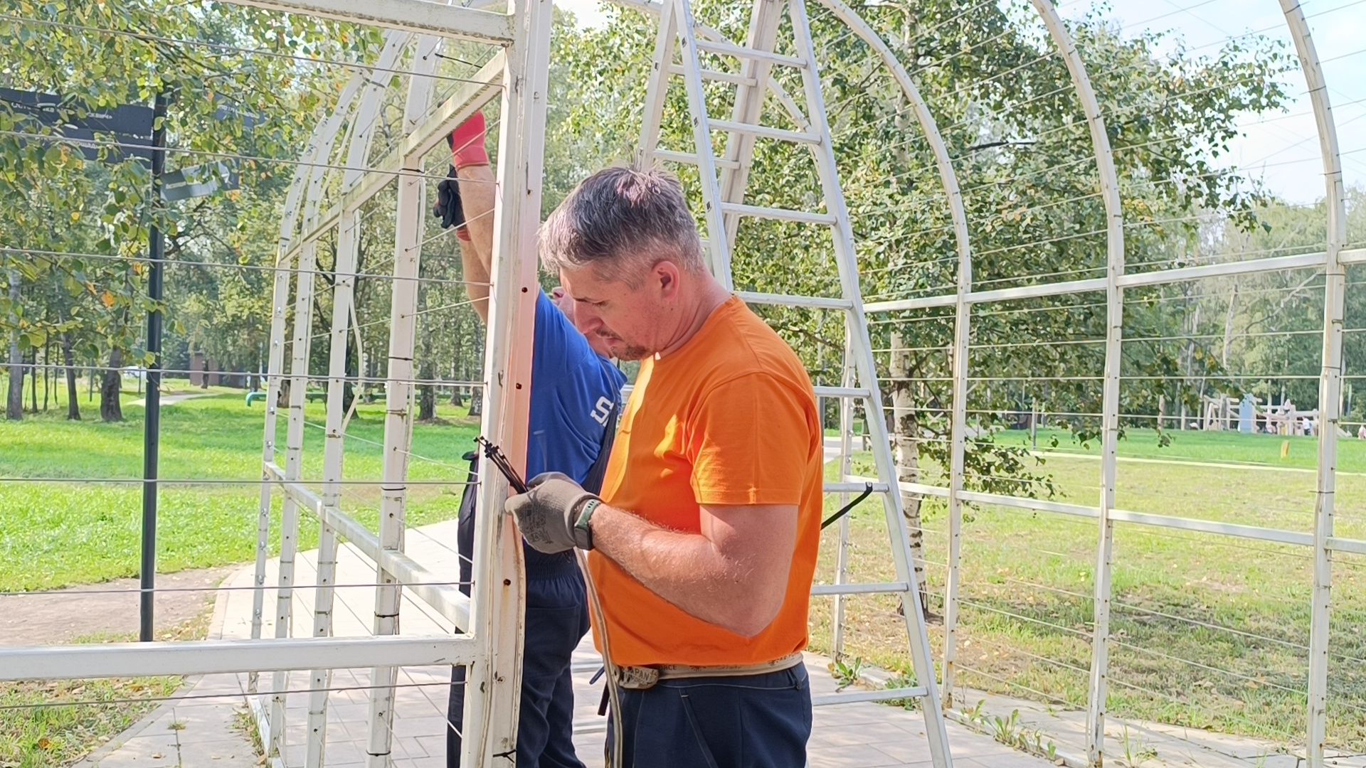 парк, лобня, храм, подсветка,