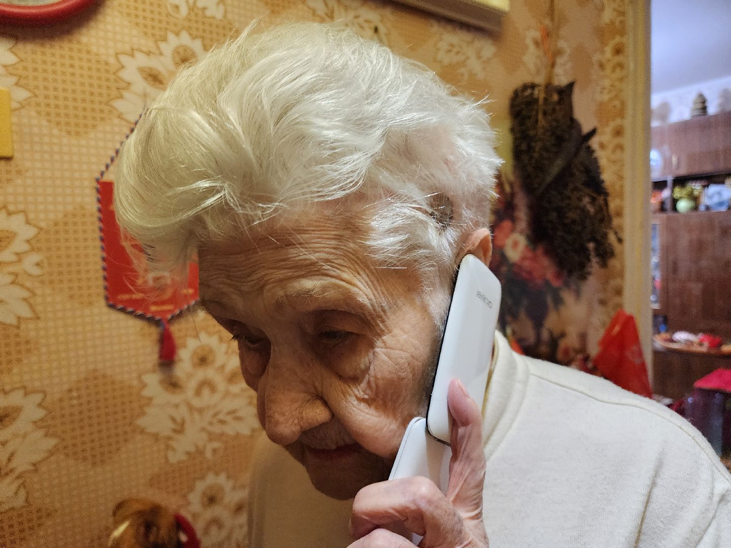 Подольск, ветеран вов, Юбилей, Столетие, Рохлина, Поздравления, день рождения,