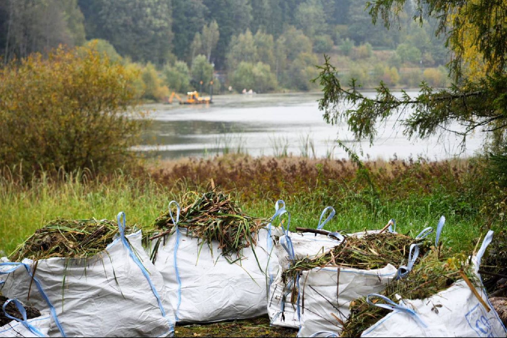 Парки МО, Парки Подмосковья, Лесопарк, Загорское море, Сергиев Посад, Экология, Очистка прудов и озер,