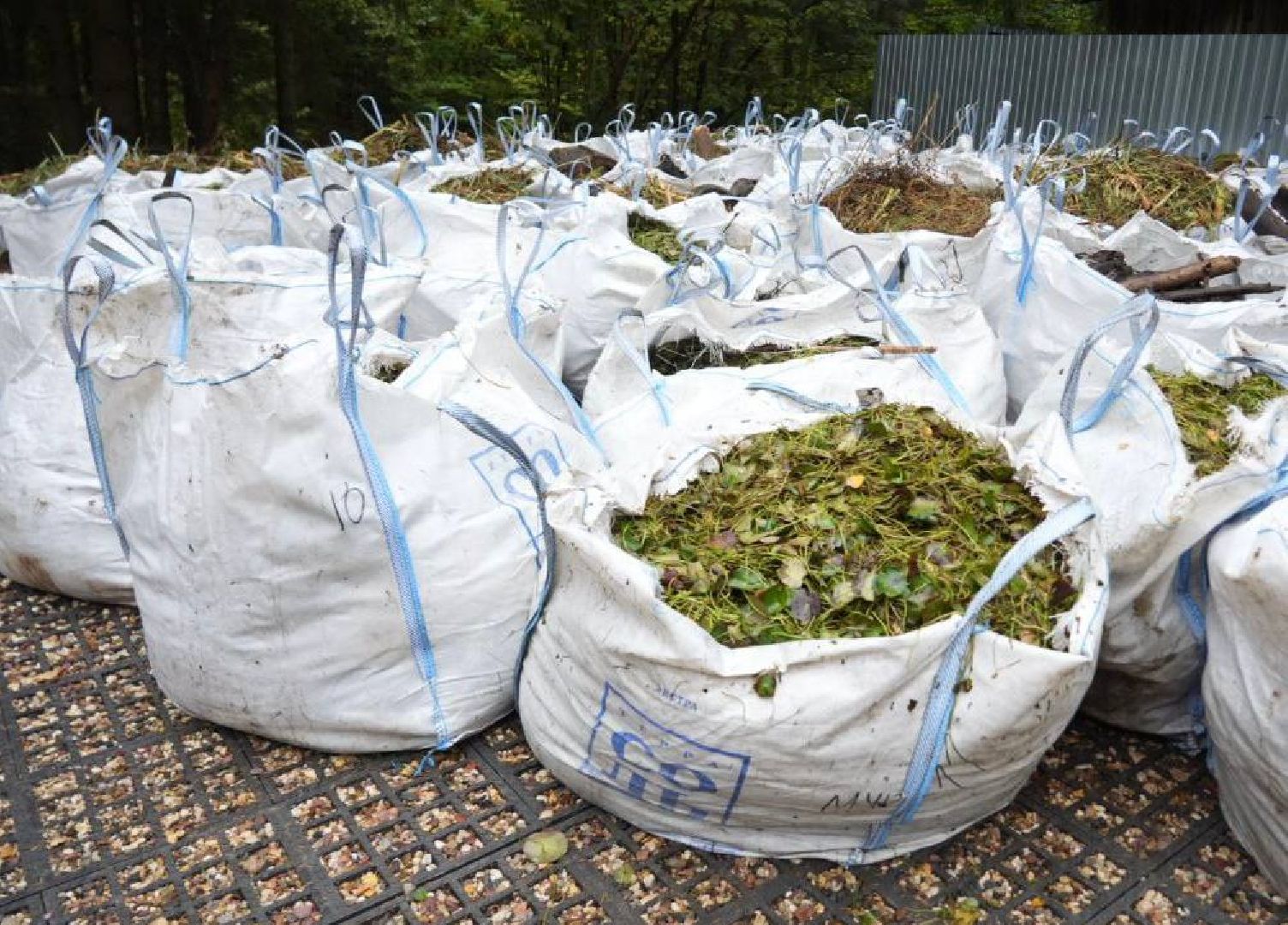 Парки МО, Парки Подмосковья, Лесопарк, Загорское море, Сергиев Посад, Экология, Очистка прудов и озер,