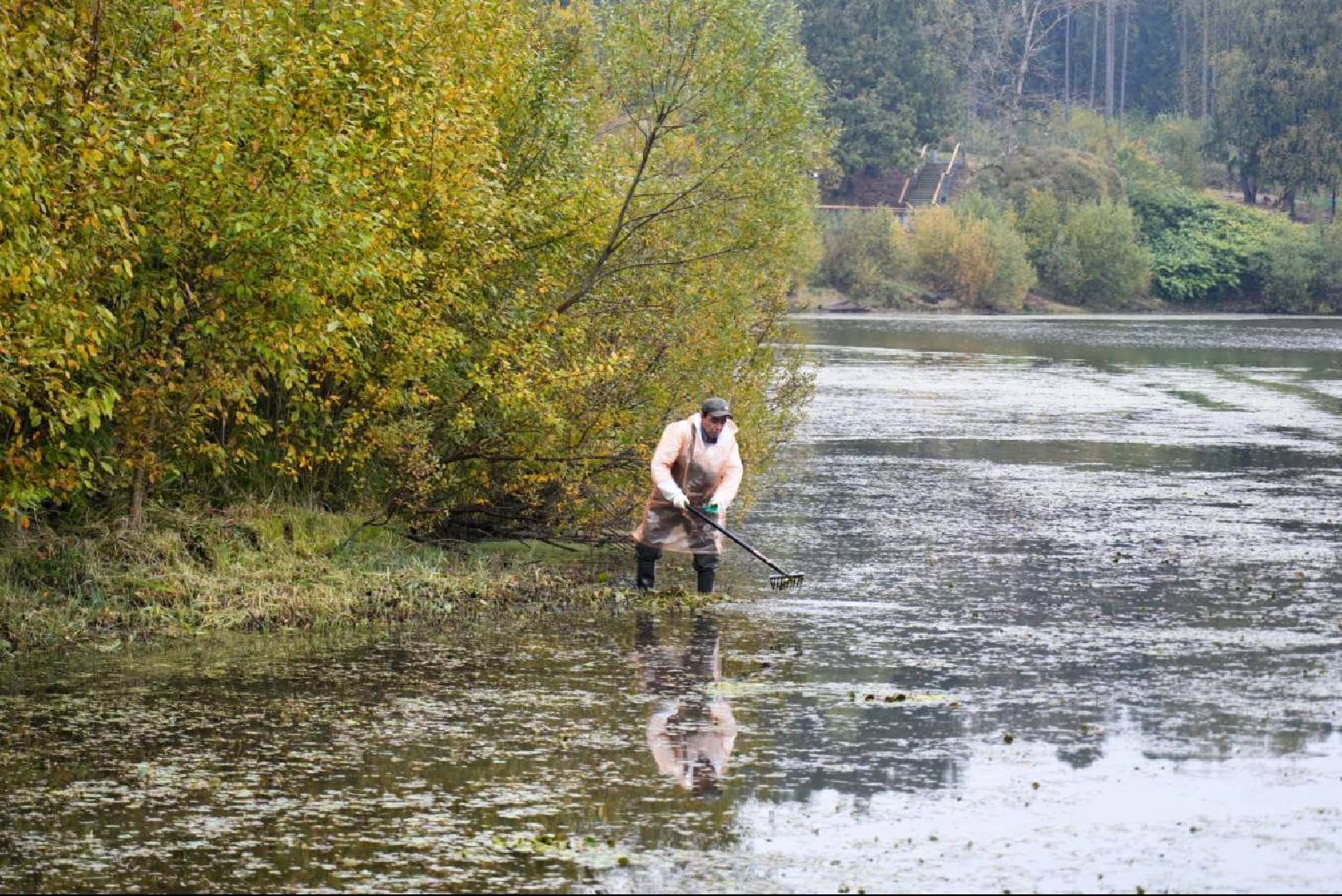 Парки МО, Парки Подмосковья, Лесопарк, Загорское море, Сергиев Посад, Экология, Очистка прудов и озер,