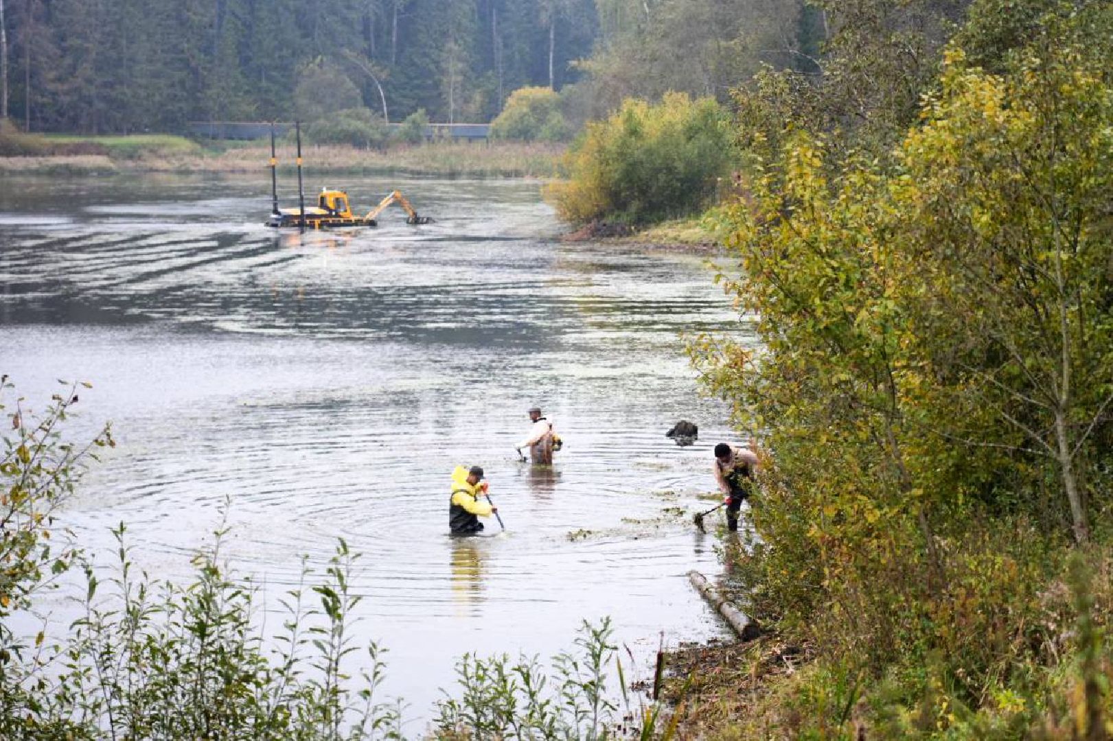 Парки МО, Парки Подмосковья, Лесопарк, Загорское море, Сергиев Посад, Экология, Очистка прудов и озер,