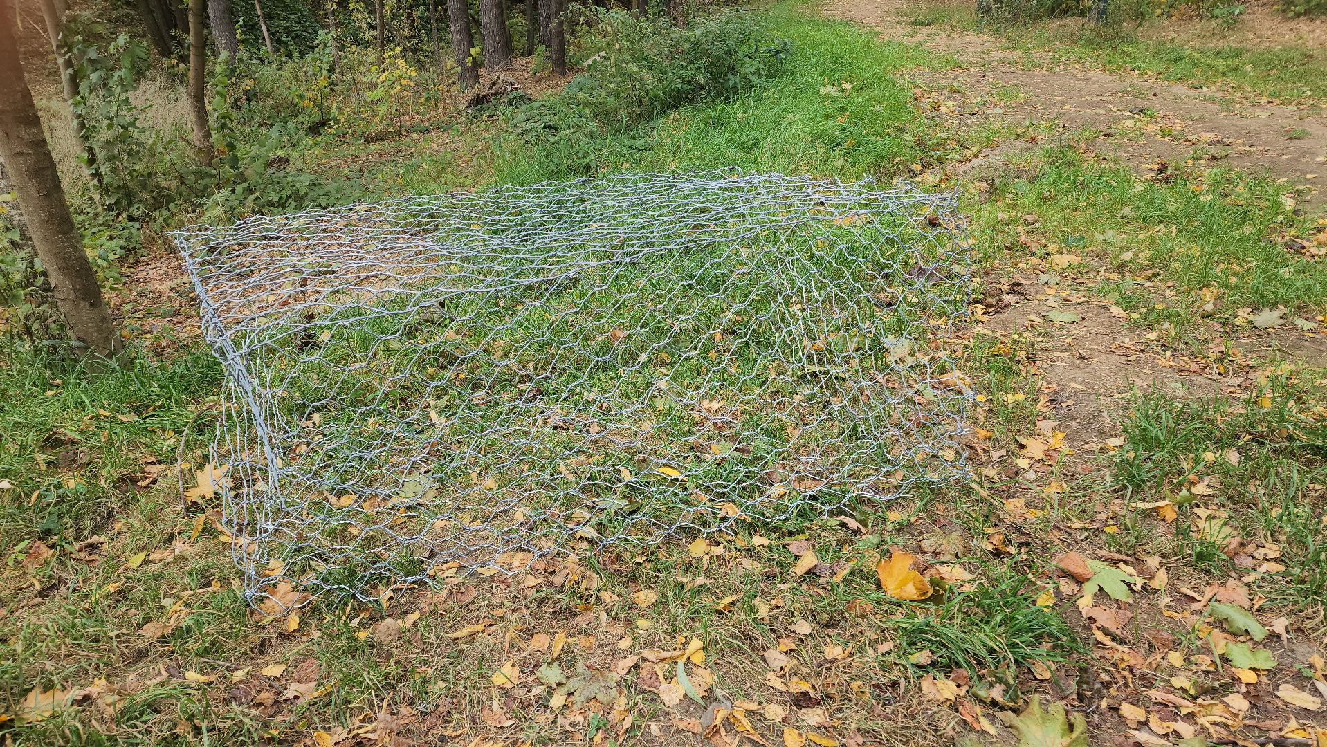 благоустройство, лес, химки, спорт,