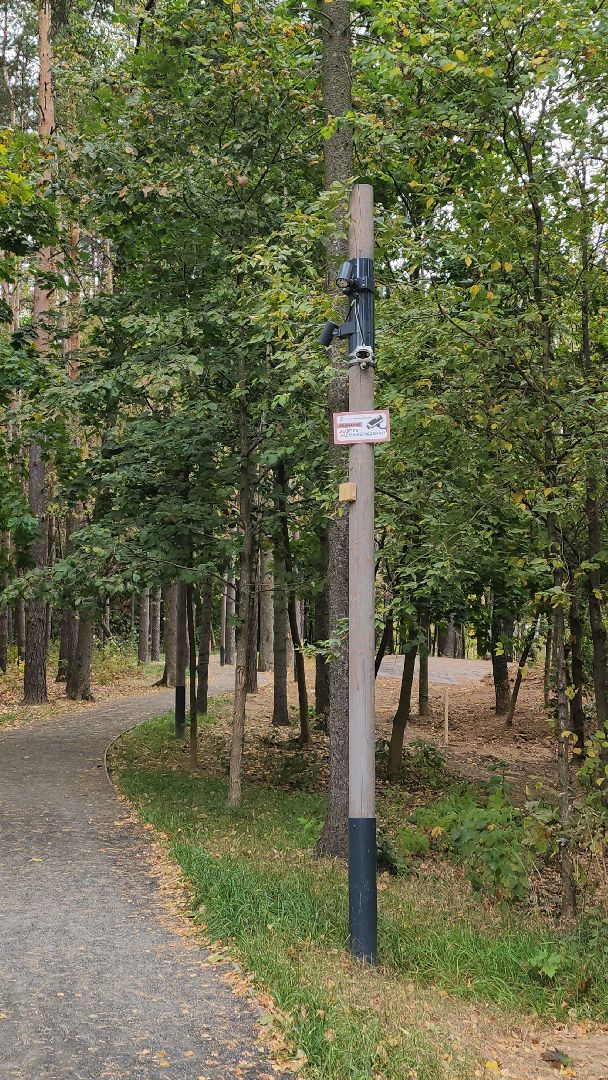 благоустройство, лес, химки, спорт,