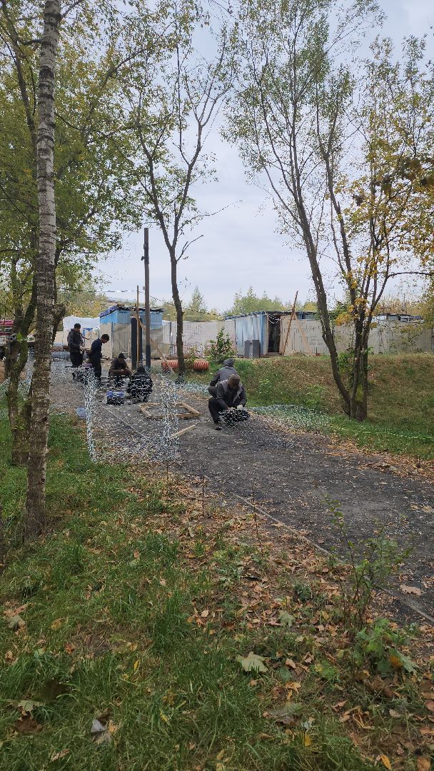 благоустройство, лес, химки, спорт,