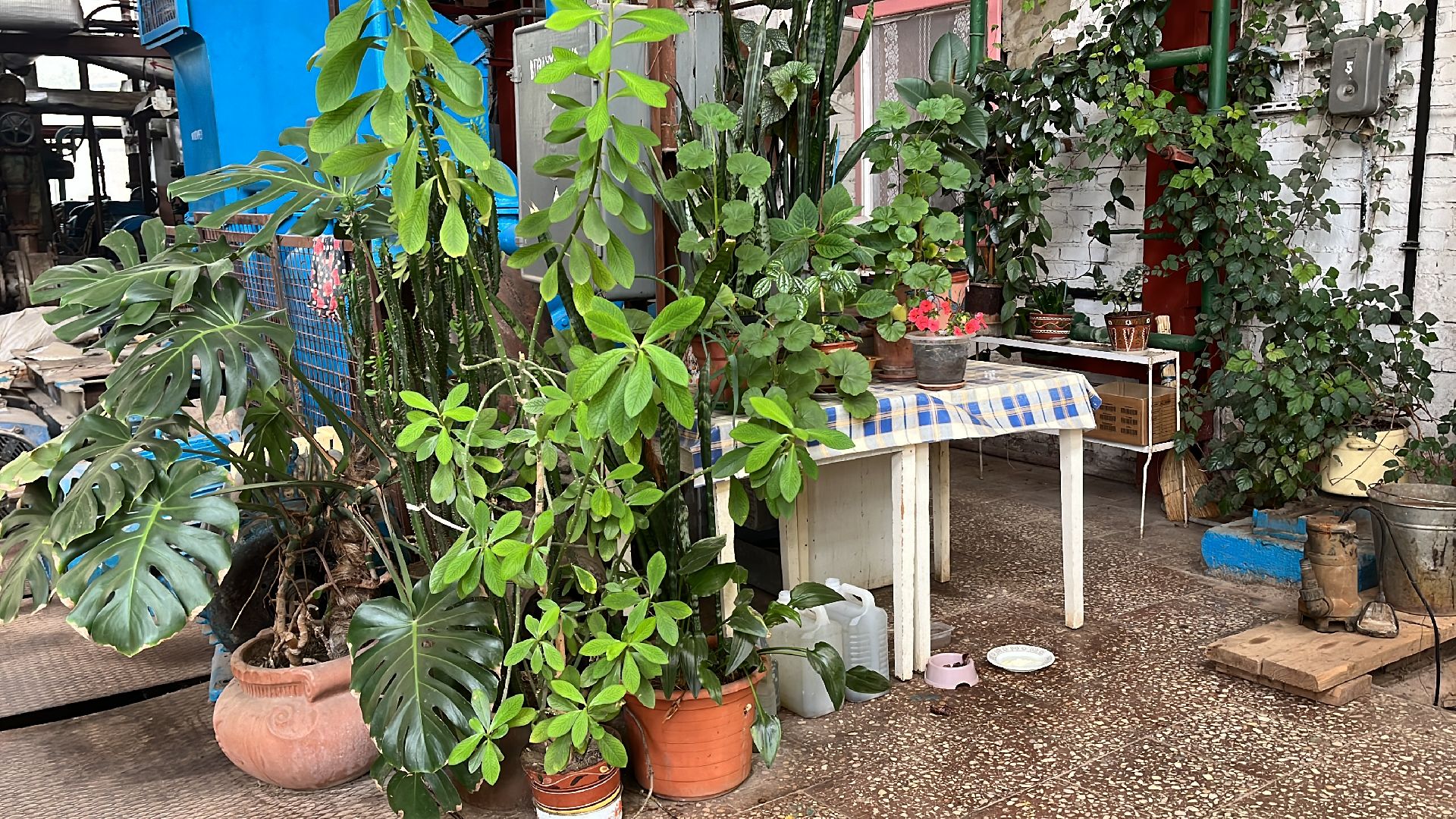 волоколамск, отопительный сезон, отопление,