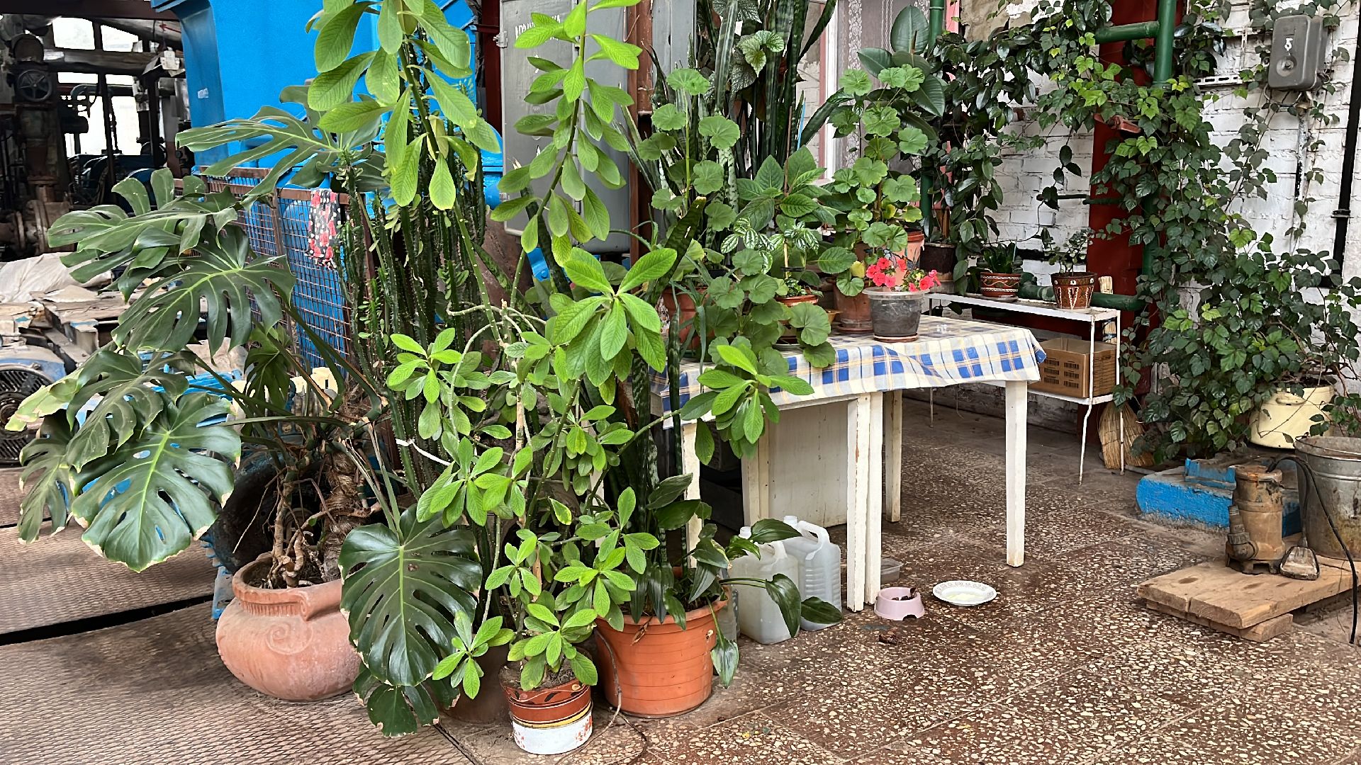 волоколамск, отопительный сезон, отопление,