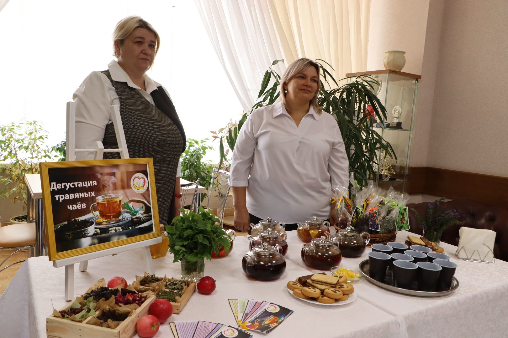 Серебряные Пруды, социальная защита,