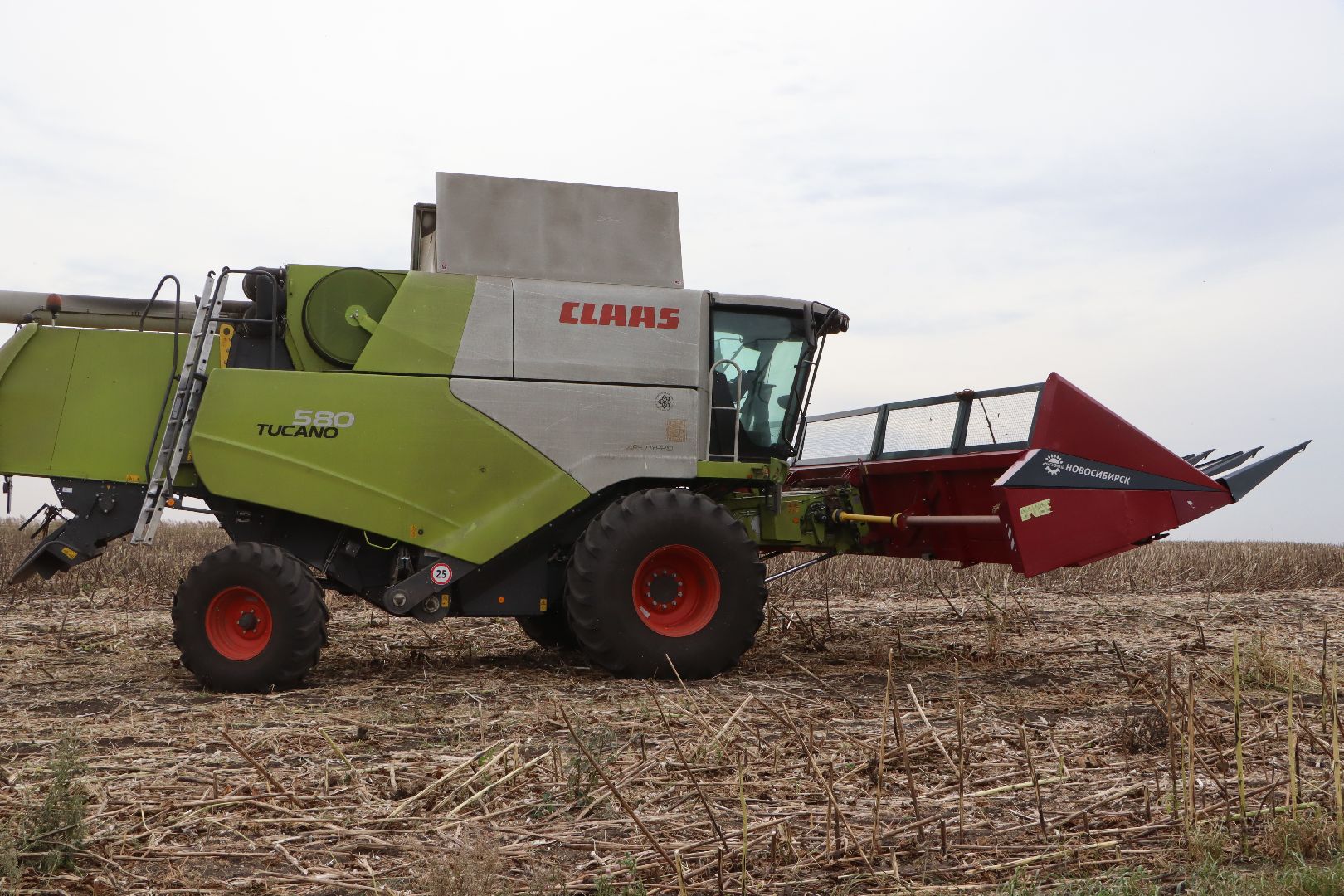 Серебряные Пруды, Юг Подмосковья, урожай 2024, подсолнечник,