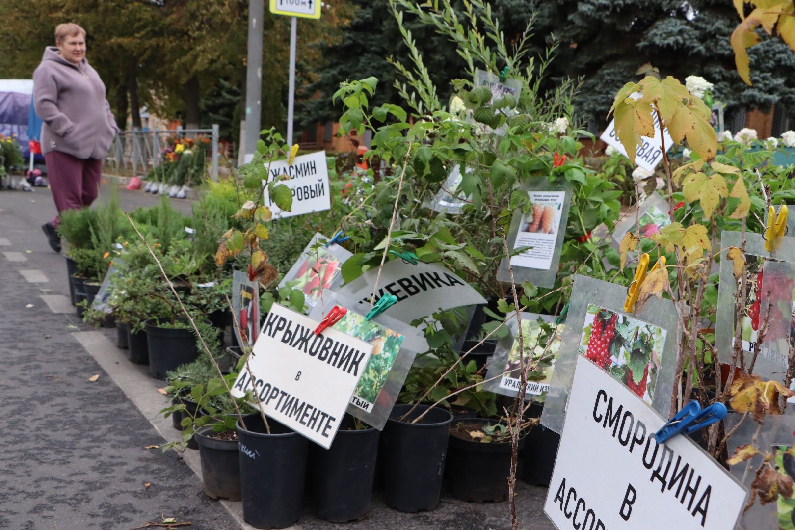 Сельское хозяйство, Серебряные Пруды, ярмарка, Дары Подмосковья,