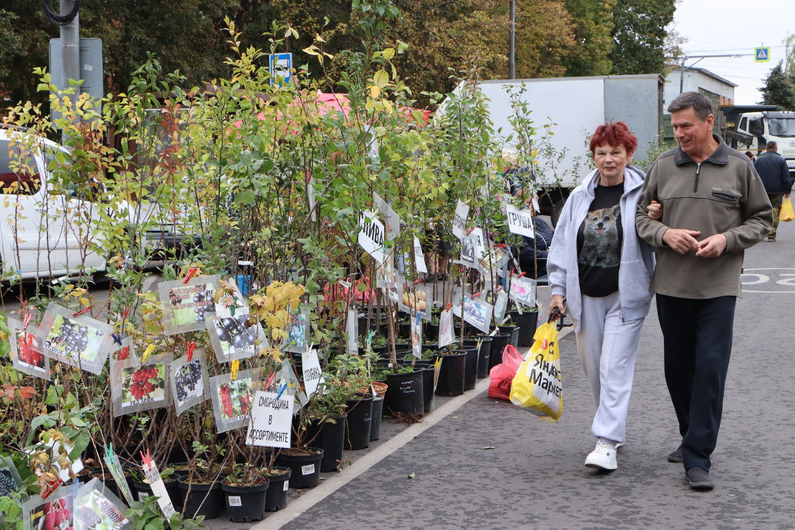 Сельское хозяйство, Серебряные Пруды, ярмарка, Дары Подмосковья,