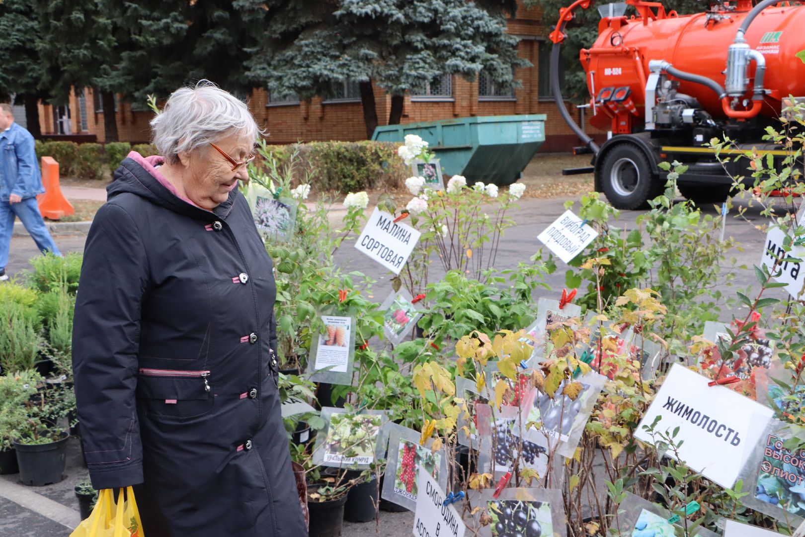 Сельское хозяйство, Серебряные Пруды, ярмарка, Дары Подмосковья,