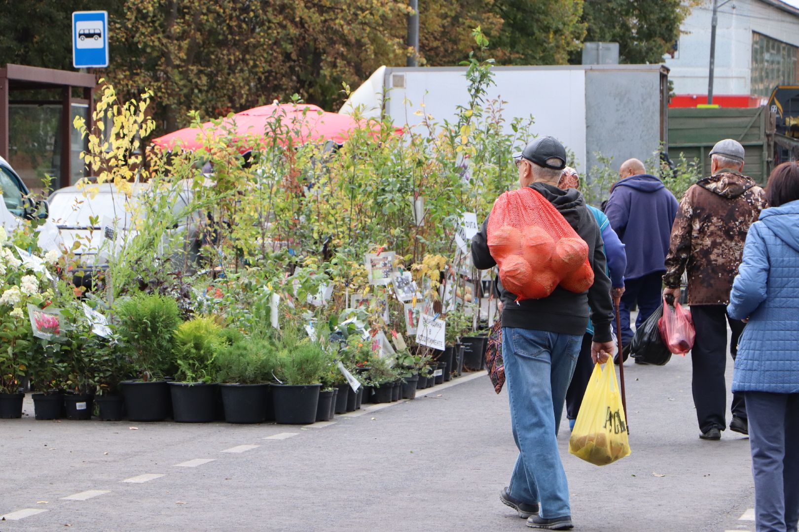 Сельское хозяйство, Серебряные Пруды, ярмарка, Дары Подмосковья,