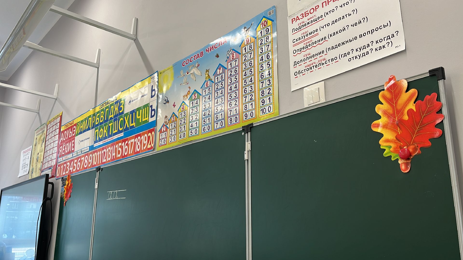 учитель, новый учитель, новый учитель в школе, учитель начальных классов, школа,